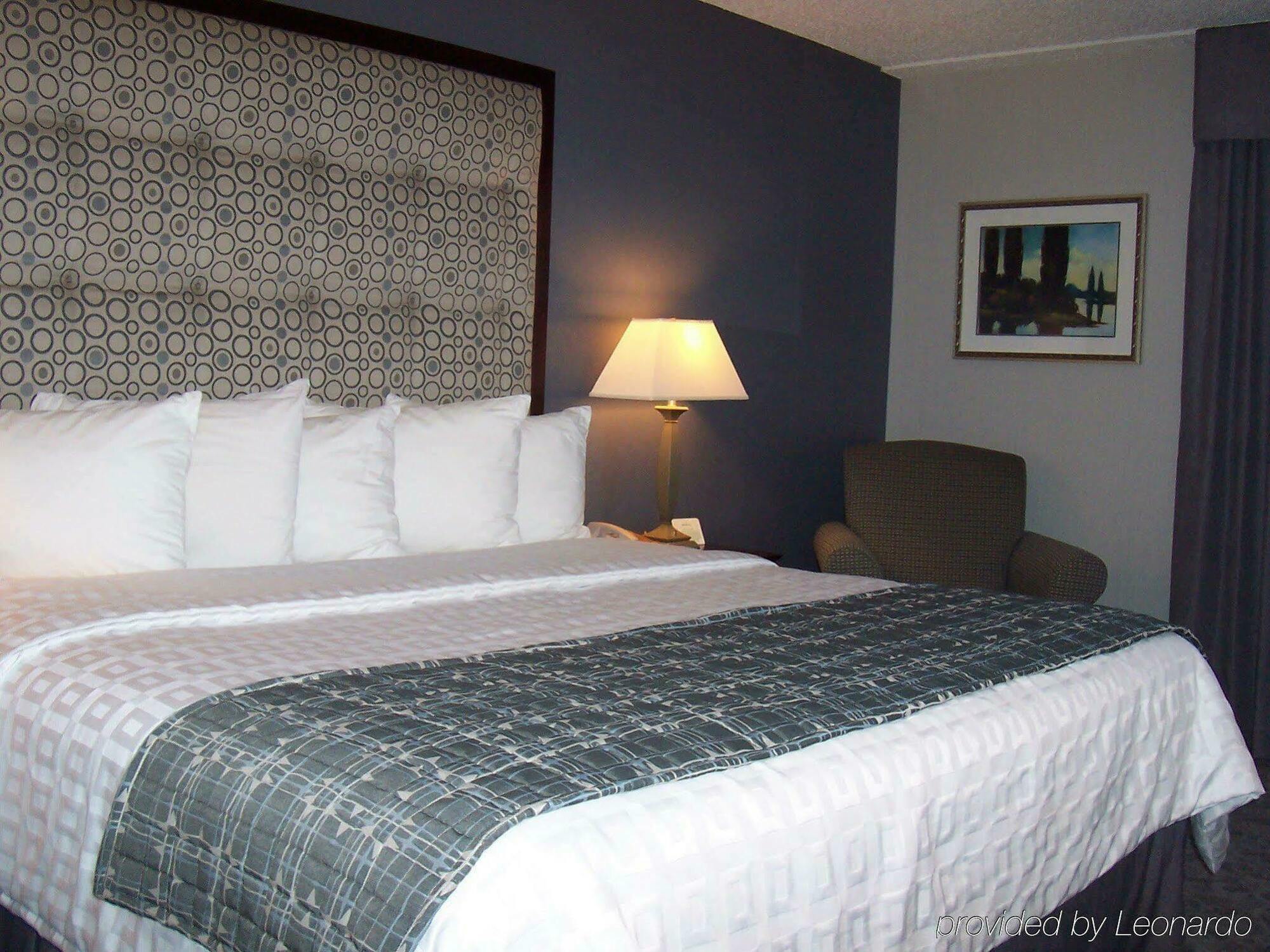 Holiday Inn & Suites Chicago-Carol Stream Wheaton By Ihg Luaran gambar